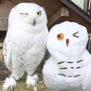 Meet your Posher, Blanca i